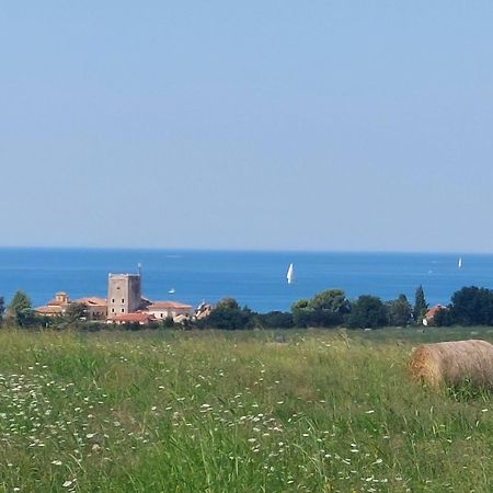 Apartments Henc Novigrad  ภายนอก รูปภาพ