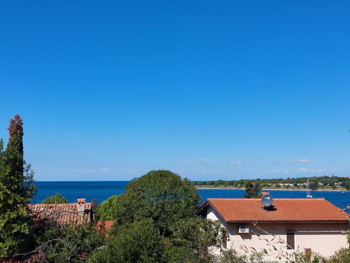 Apartments Henc Novigrad  ภายนอก รูปภาพ