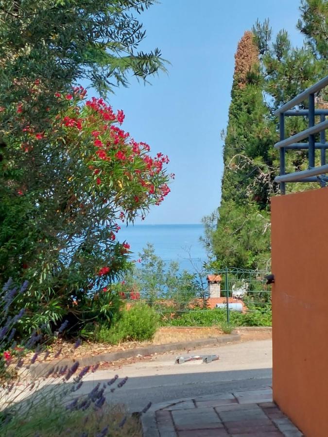 Apartments Henc Novigrad  ภายนอก รูปภาพ
