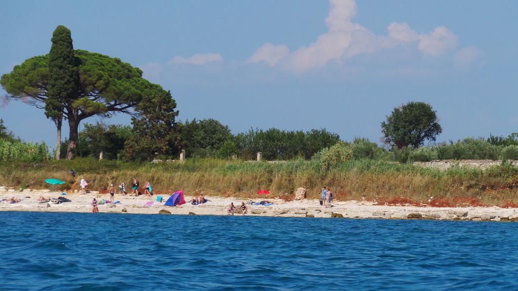 Apartments Henc Novigrad  ห้อง รูปภาพ