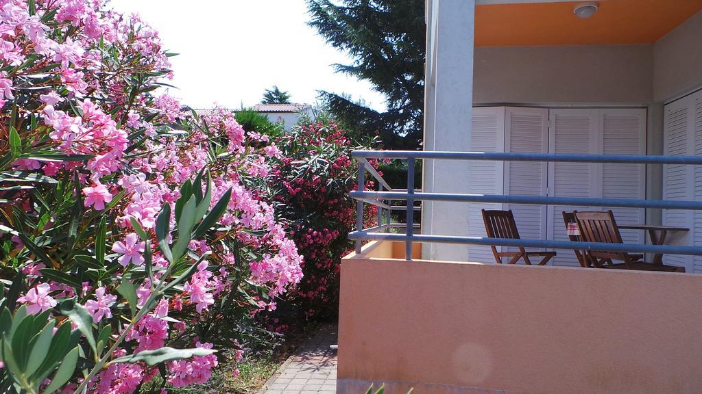 Apartments Henc Novigrad  ห้อง รูปภาพ