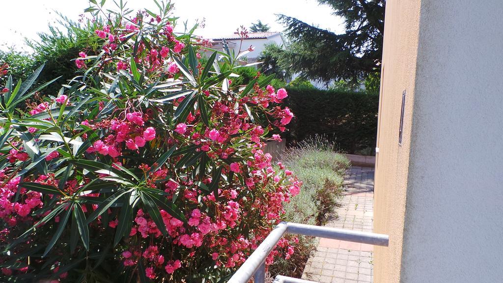 Apartments Henc Novigrad  ภายนอก รูปภาพ