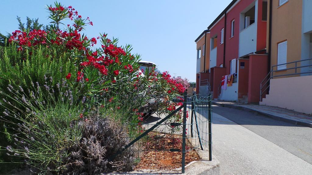 Apartments Henc Novigrad  ภายนอก รูปภาพ