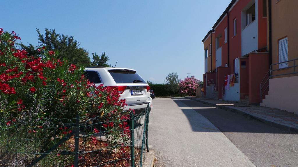 Apartments Henc Novigrad  ภายนอก รูปภาพ