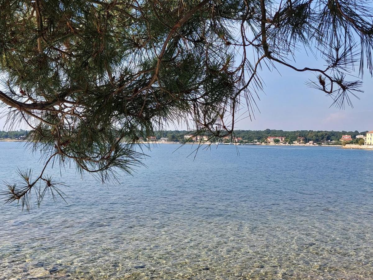 Apartments Henc Novigrad  ภายนอก รูปภาพ