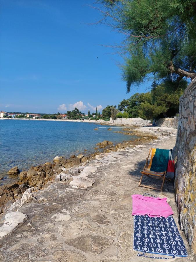 Apartments Henc Novigrad  ภายนอก รูปภาพ