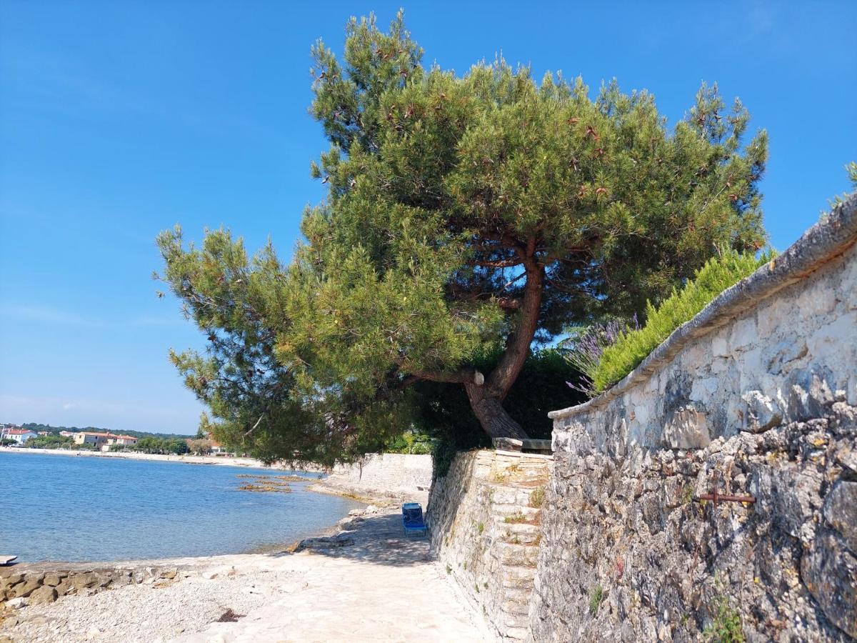 Apartments Henc Novigrad  ภายนอก รูปภาพ