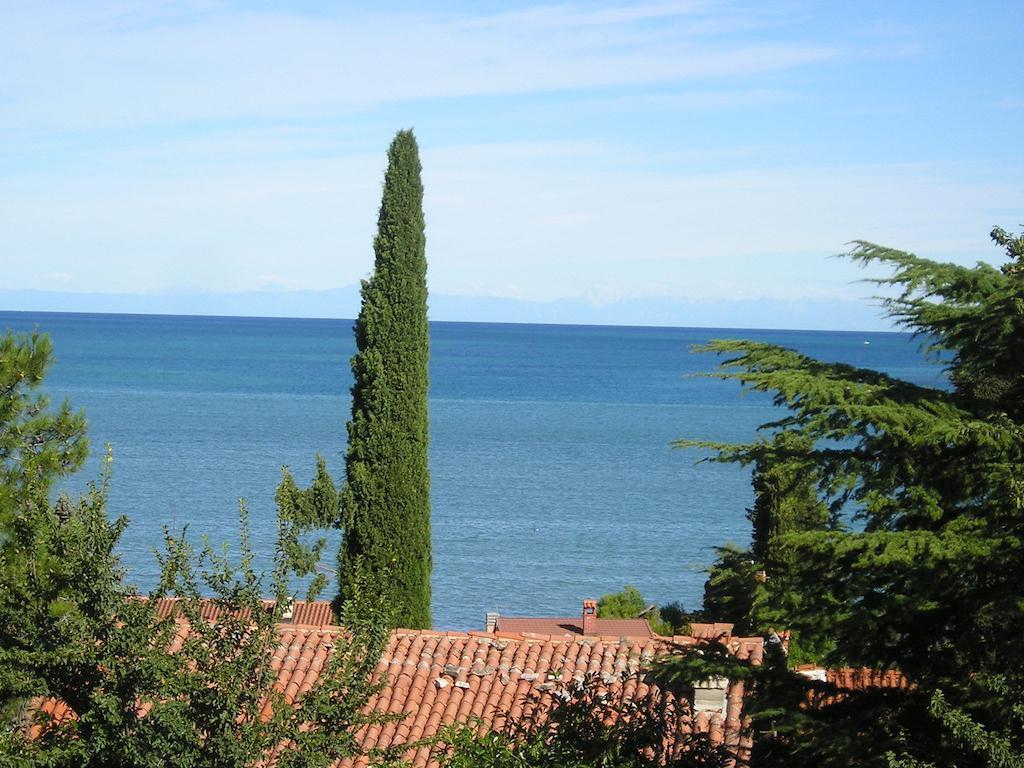 Apartments Henc Novigrad  ห้อง รูปภาพ